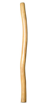 Medium Size Natural Finish Didgeridoo (TW1538)